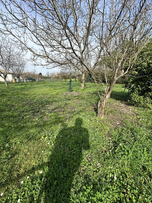 Terrain - 630 m²