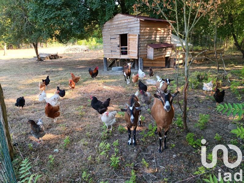 Maison de campagne - 336 m² - 10 pièces