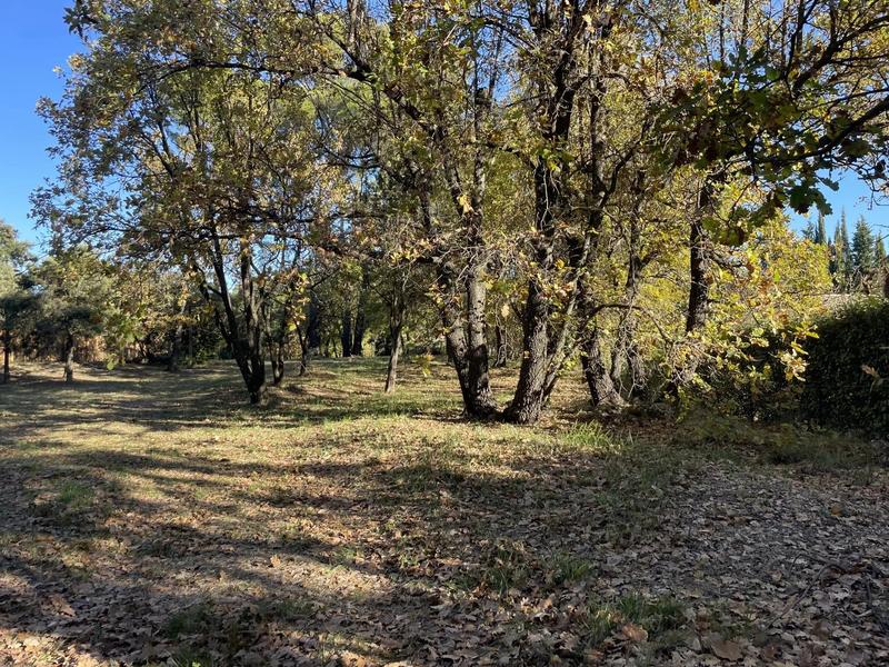 Terrain constructible - 100 050 m²