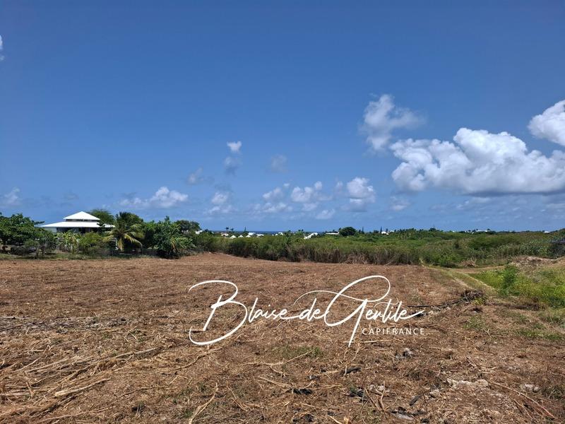 Terrain constructible - 6 000 m²