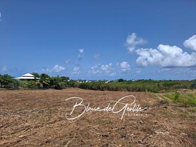 Terrain constructible - 6 000 m²