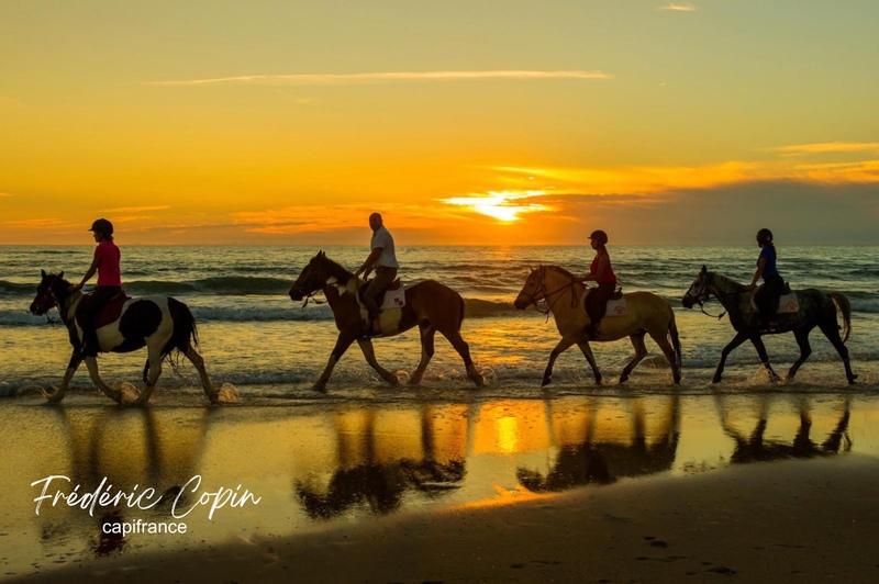 Appartement - 102 m² - 5 pièces