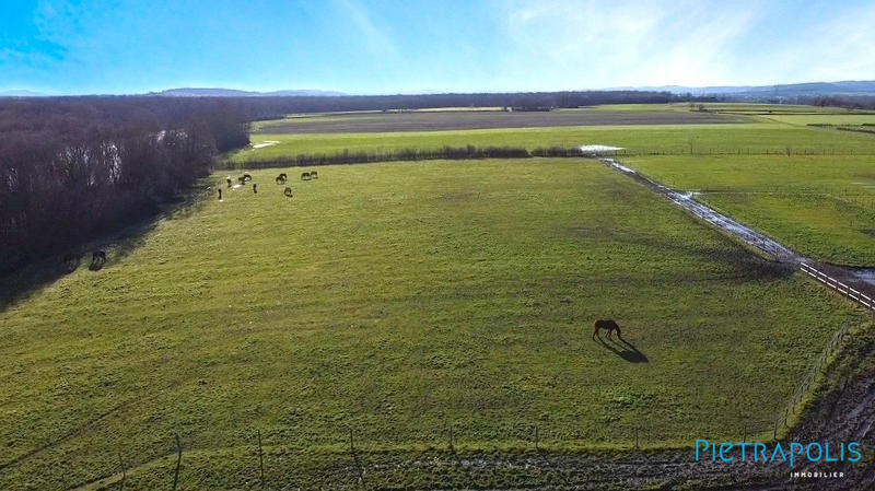 Villa - 239 m² - 7 pièces