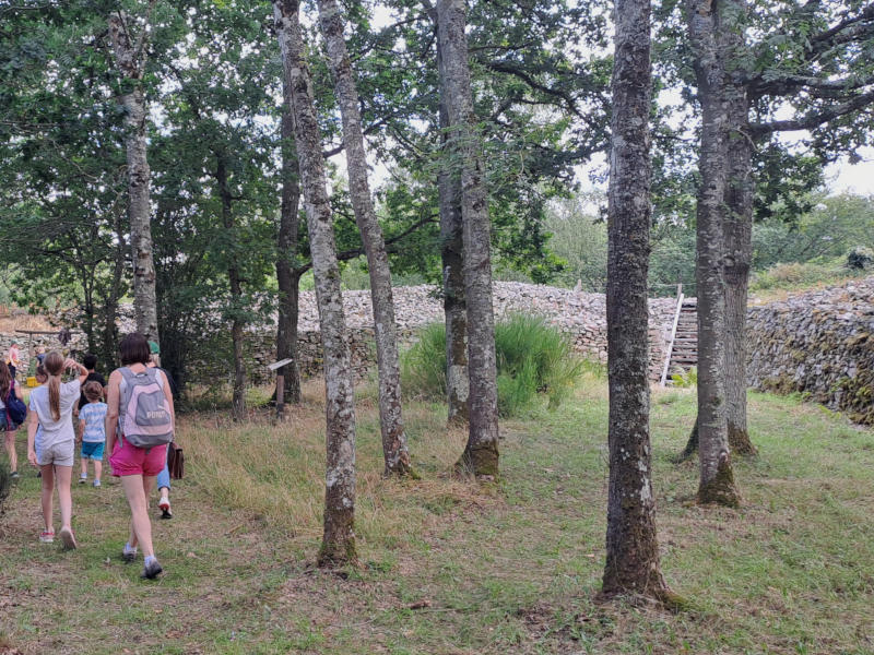 Visite Guidée · le Camp celtique
