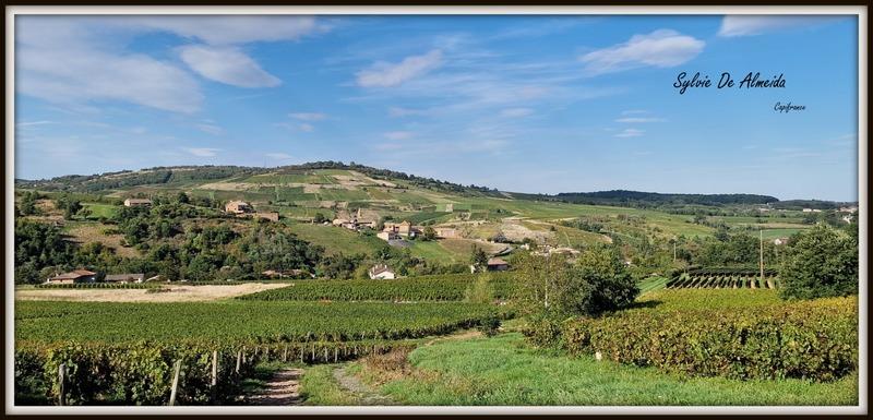 Maison - 326 m² - 6 pièces