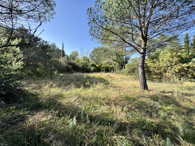 Terrain - 1 800 m²