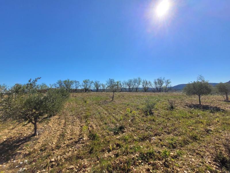 Terrain constructible - 2 579 m²