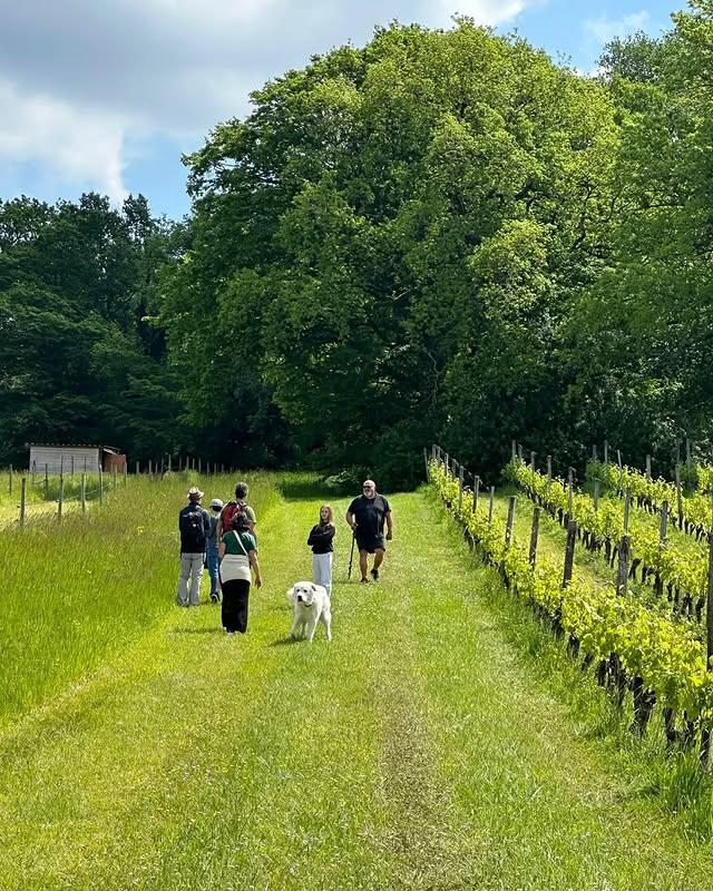 Château Boutinet - "Un dimanche au Château en Fronsadais-Libournais"