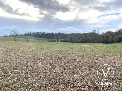 Terrain agricole - 11 460 m²