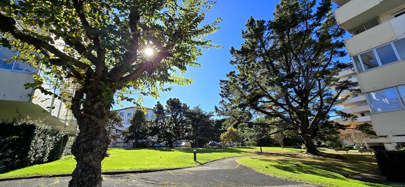 Appartement - 13 m² - 1 pièce