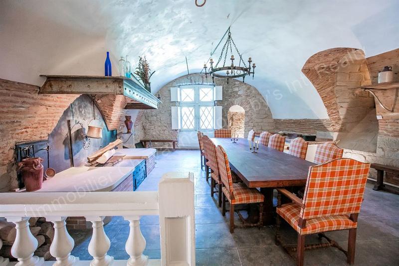 Château - 715 m² - 17 pièces