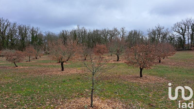 Terrain - 11 755 m²