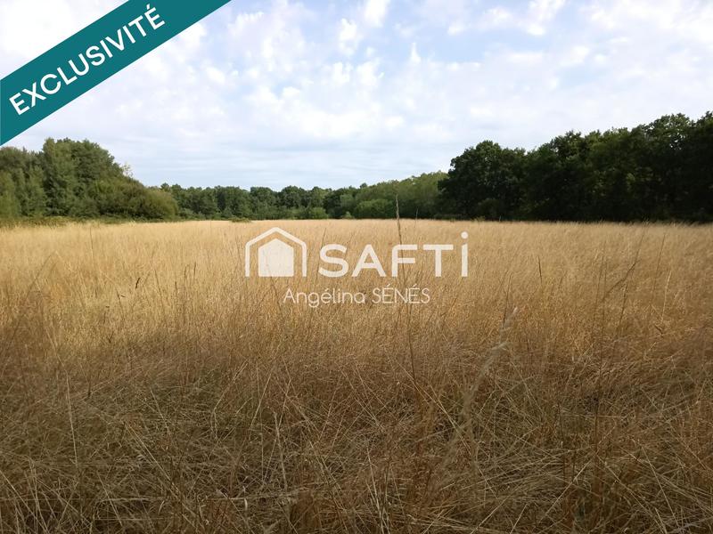 Terrain agricole - 60 000 m²