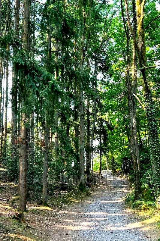 Fonds de commerce - Magasins