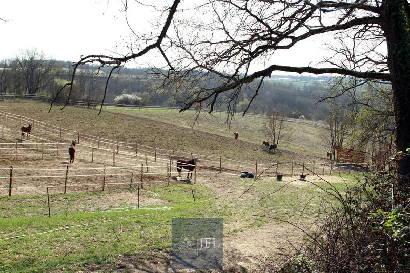 Maison de domaine équestre - 100 m² - 1 pièce