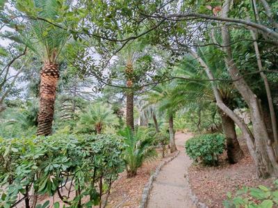 Appartement - 106 m² - 4 pièces