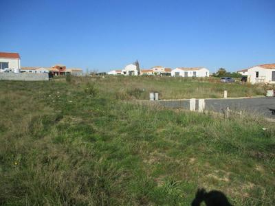 Terrain - 379 m²