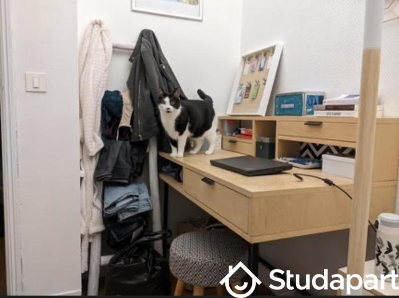 Appartement - 40 m² - 3 pièces