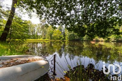 Terrain - 39 973 m²