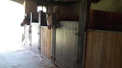 Corps de ferme - 205 m² - 6 pièces