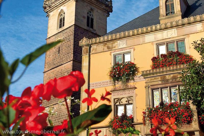 La vieille ville d'Obernai Réf 01