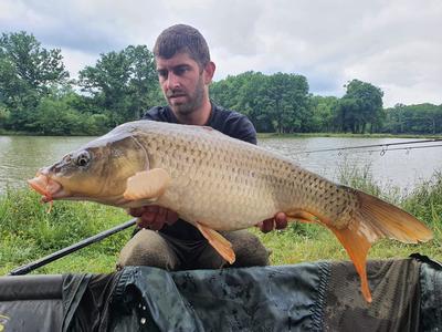 Domaine du Grand Nouer