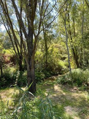 Maison - 155 m² - 5 pièces