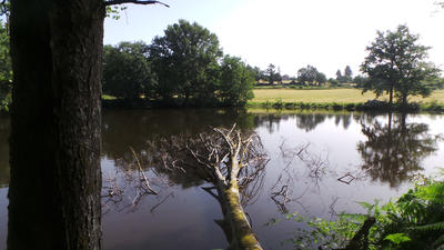 Terrain - 50 000 m²