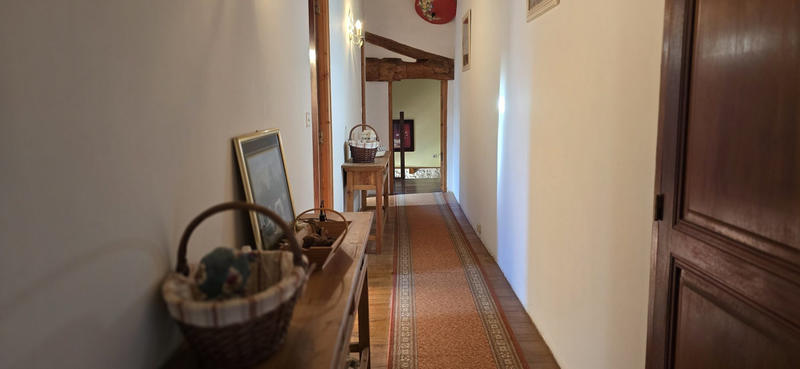 Viager - Maison ancienne - 248 m² - 11 pièces