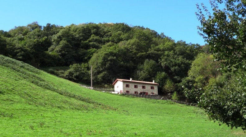 Appartement - 89 m² - 4 pièces