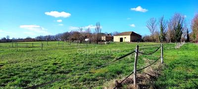 Propriété - 205 m² - 6 pièces