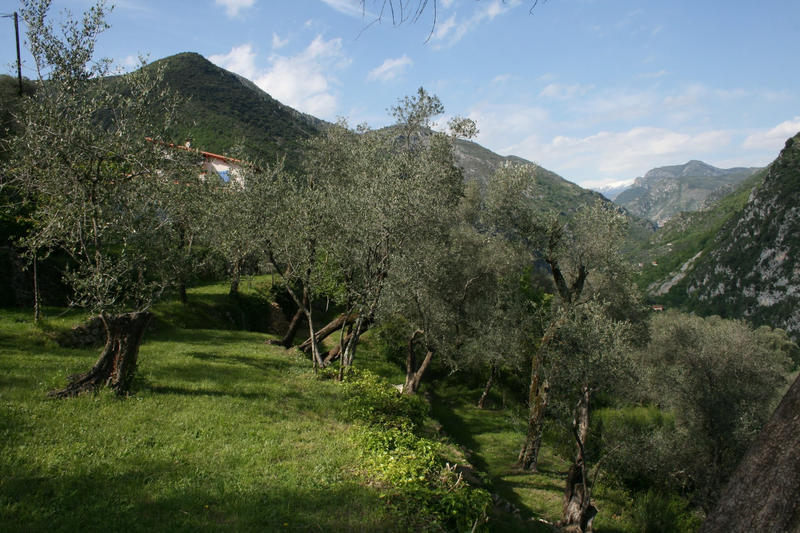 Maison - 114 m² - 7 pièces