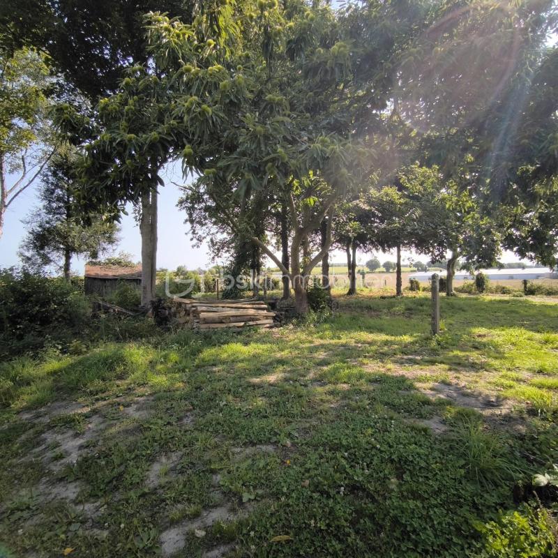 Corps de ferme - 120 m² - 5 pièces