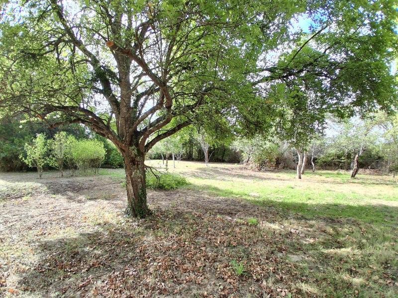 Maison - 46 m² - 3 pièces