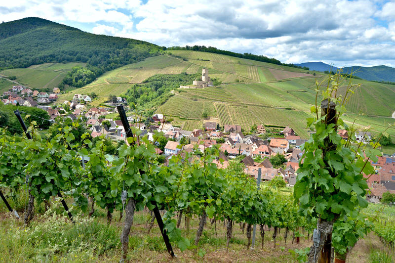 Tous aux châteaux - Journée au Wineck