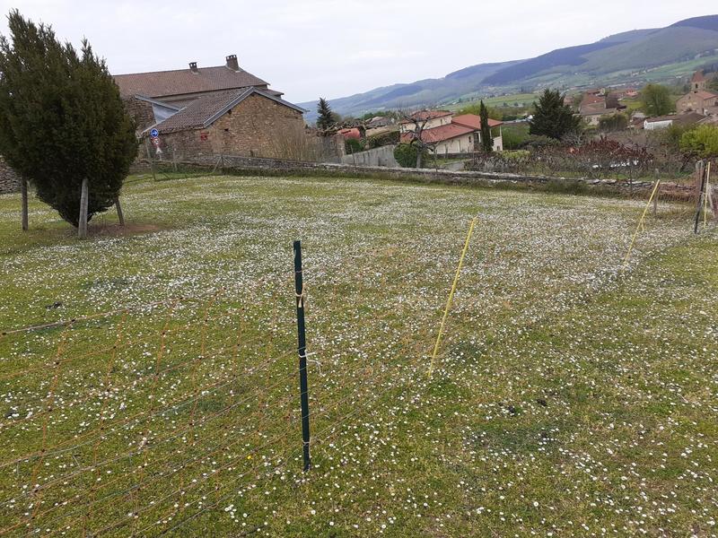 Terrain - 1 800 m²