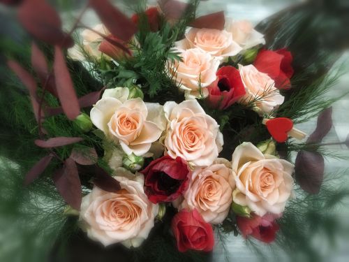 Le Jardin de Camille