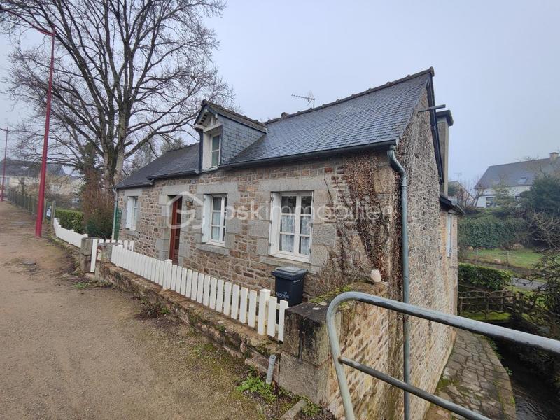 Maison en pierre - 100 m² - 5 pièces