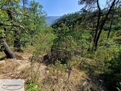 Terrain inconstructible - 1 763 m²