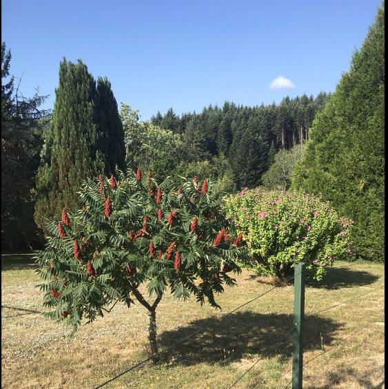Maison traditionnelle - 90 m² - 5 pièces