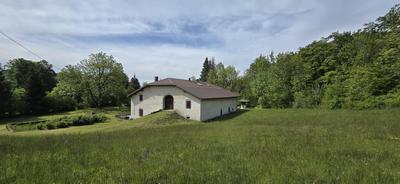 Maison en pierre - 441 m² - 13 pièces