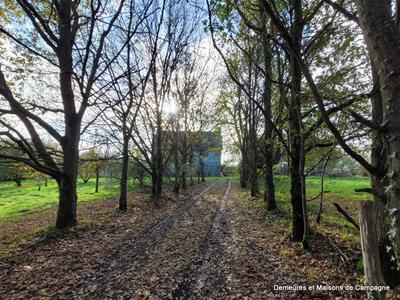 Manoir - 175 m² - 6 pièces