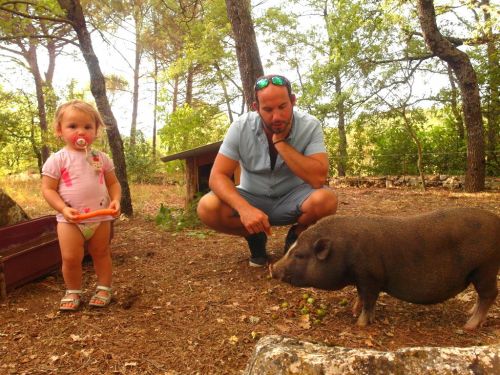 La Petite Ferme des 3.6.9