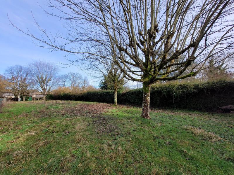 Maison ancienne - 59 m² - 3 pièces