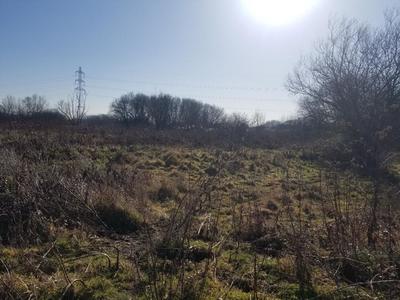 Terrain agricole - 14 000 m²