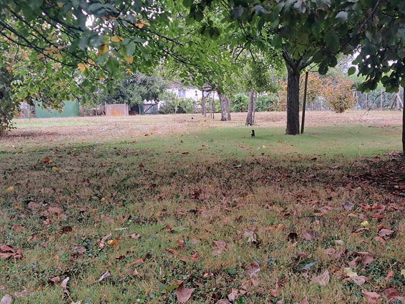 Maison - 91 m² - 5 pièces