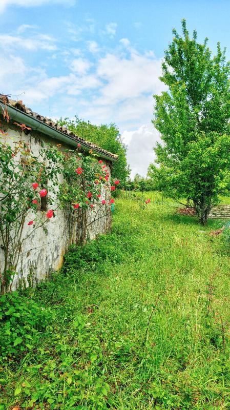 Maison - 288 m² - 8 pièces