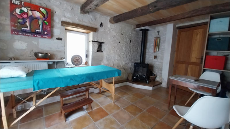 Propriété - 300 m² - 10 pièces