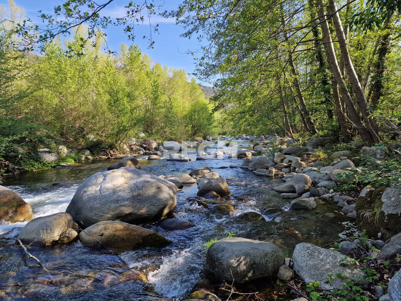 Maison - 500 m² - 15 pièces