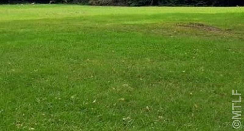 Terrain constructible - 526 m²